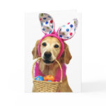 Golden Retriever Easter Bunny Greeting Card