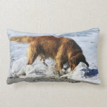 Golden Retriever EVERYBODY STOP! I Lost My Contact Throw Pillow