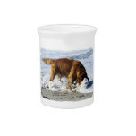 Golden Retriever EVERYBODY STOP! I Lost My Contact Pitchers