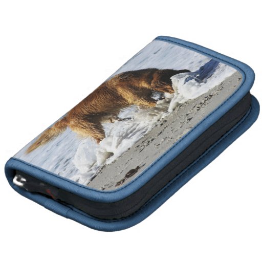 Golden Retriever EVERYBODY STOP! I Lost My Contact Organizer
