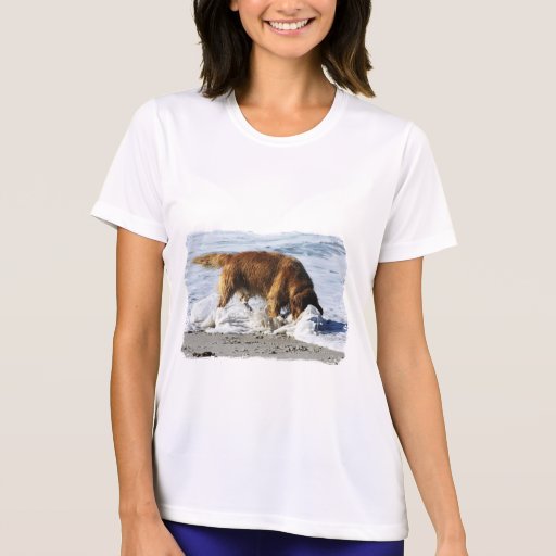 Golden Retriever EVERYBODY STOP! I Lost My Contact Tshirts