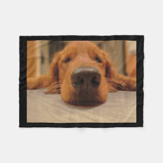 golden retriever blanket golden retriever blankets bed blankets zazzle golden retriever blanket golden retriever blankets bed blankets zazzle