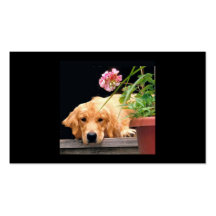 Golden Retriever Flower Girl Breeder Business Card