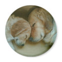 Golden Retriever Fridge Magnet by mariondeans Golden Retriever Fridge Magnet