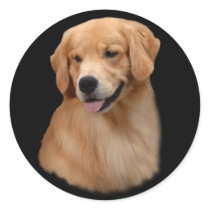 Golden Retriever Frisco Large Sticker