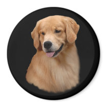 Golden Retriever Frisco Magnet by normagolden Golden Retriever Frisco Magnet