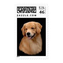 Golden Retriever Frisco Postage Stamp