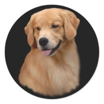 Golden Retriever Frisco Small Sticker