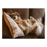 Golden Retriever Funny Father's Day Card