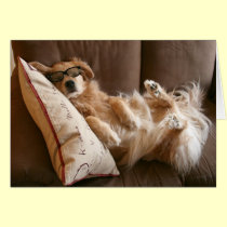 Golden Retriever Funny Father's Day Card cards