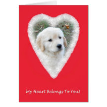 Golden Retriever Funny Valentine's Day Card