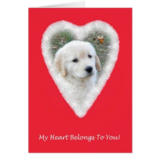 Golden Retriever Funny Valentine's Day Card | Zazzle