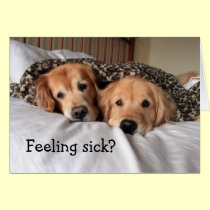 Golden Retriever Get Well Soon Greeting Card cards
