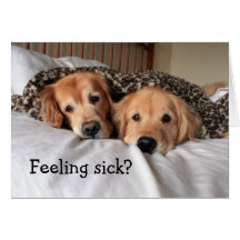Golden Retriever Get Well Soon Greeting Card