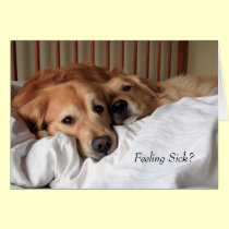 Golden Retriever Get Well Soon Greeting Card cards