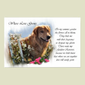 Golden Retriever Gifts Art Print