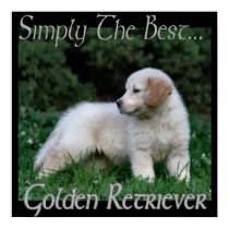 Golden Retriever Gifts Art Print