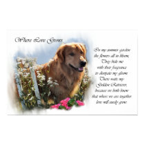 Golden Retriever Gifts  Art Print posters