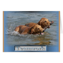 Golden Retriever Gifts cards