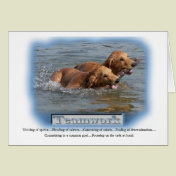 Golden Retriever Gifts