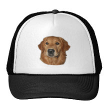 Golden Retriever Gifts Hat