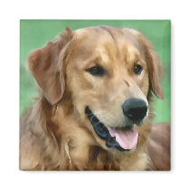 Golden Retriever Gifts magnets