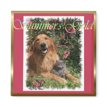 Golden Retriever Gifts magnets