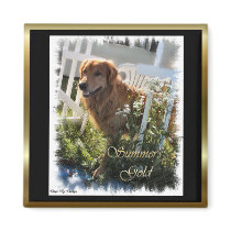 Golden Retriever Gifts magnets