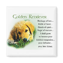 Golden Retriever Gifts Magnet