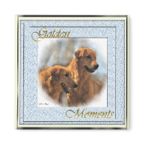 Golden Retriever Gifts magnets