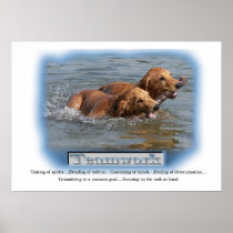 Golden Retriever Gifts Print