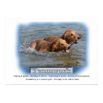 Golden Retriever Gifts posters