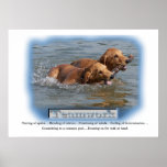 Golden Retriever Gifts Print