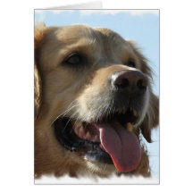 Golden Retriever Greeting Card
