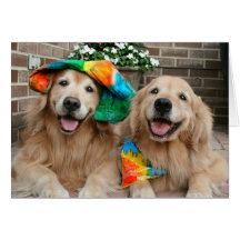 Golden Retriever Groovy Greeting Card