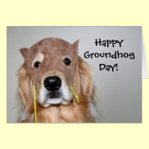 Golden Retriever Groundhog Day Card cards