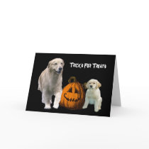 Golden Retriever Halloween Greeting Card