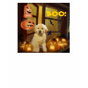 Golden Retriever Halloween Ladies T-Shirt