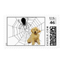 Golden Retriever Halloween Spider Stamp