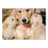 Golden Retriever Happy Mother's Day Card