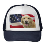 Golden Retriever Hat