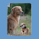 Golden Retriever hunting dog magnet magnets