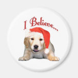 Golden Retriever I Believe - Magnet