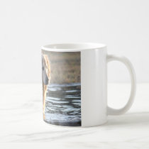 Golden Retriever in Water Mug