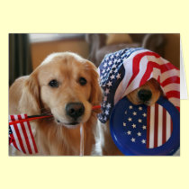 Golden Retriever Independence Day Greeting Card cards
