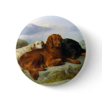 Golden Retriever, Irish and Gordon Setter Button