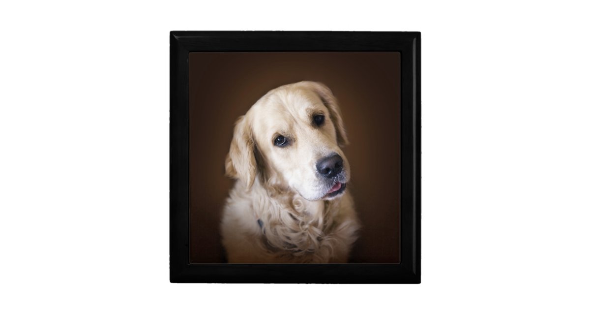 golden retriever jewelry golden retriever jewelry box zazzle golden retriever jewelry golden retriever jewelry box zazzle