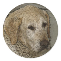 "GOLDEN RETRIEVER\LABRADOR" Stickers