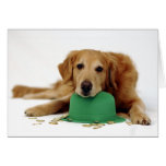 Golden Retriever Leprechaun Cards