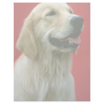 Golden Retriever Customized Letterhead